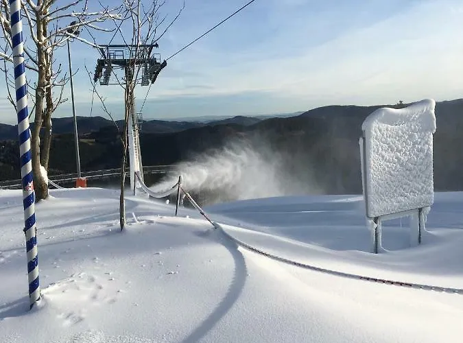 Haus Ina - Rondar Apartment *